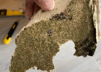 Chantier Janneyrias, procédure d’un traitement des murs contre les champignons, moisissure, salpêtre suite a un dégât des eaux.