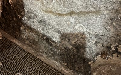 ATTENTION Champignon, Salpêtre, Humidité. Intervention dans une pièce de vie situé au sous sol d’une maison.